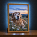 Cadre lumineux LED — Ninho • Destin